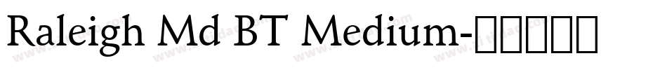 Raleigh Md BT Medium字体转换